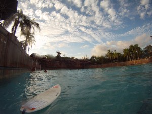 surfing